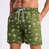 Summer Men's Shorts Quick Drying Hawaii Holiday Sports