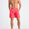 Summer Men's Shorts Quick Drying Hawaii Holiday Sports