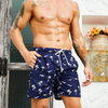 Summer Men's Shorts Quick Drying Hawaii Holiday Sports
