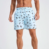 Summer Men's Shorts Quick Drying Hawaii Holiday Sports