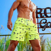 Summer Men's Shorts Quick Drying Hawaii Holiday Sports